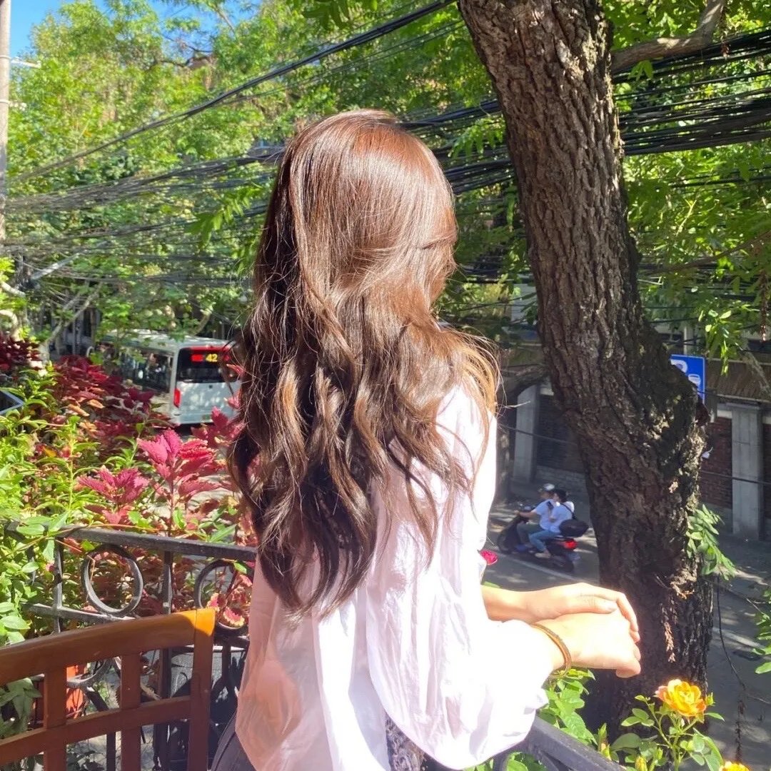 花圃里的蝴蝶